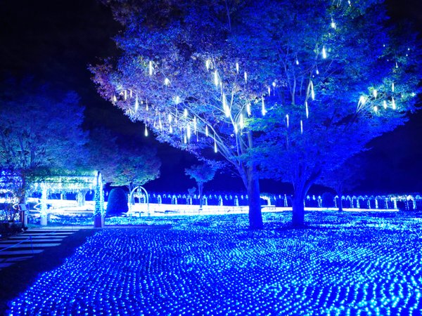 ハイジの村 クララ館 スパ&レストランホテルの写真その5