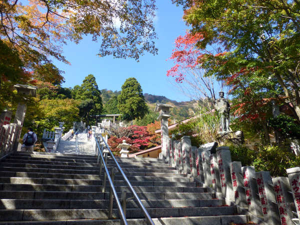 *【阿夫利神社周辺】階段を上ると神社に着きます。振り返れば絶景を楽しめます。