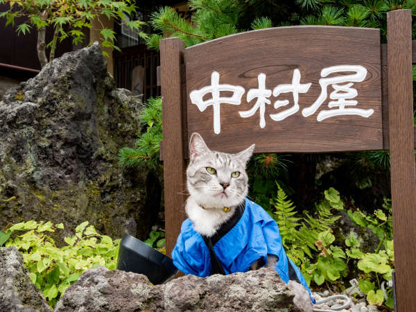 草津温泉 中村屋旅館の写真その2