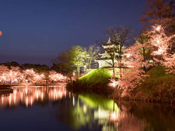 観桜会　高田城の美しい夜桜
