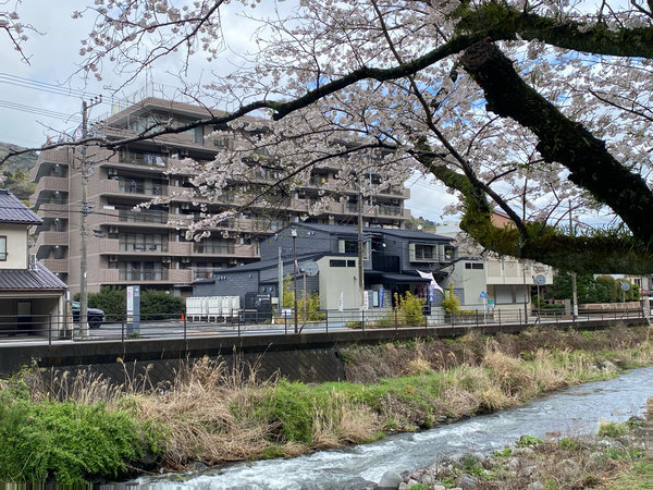 桜とみやかみの湯宿