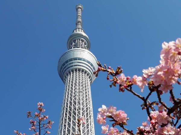 スーパーホテル東京・亀戸の写真その4