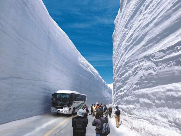 【雪の大谷】立山黒部アルペンルート雪壁の大迫力を間近で体験しよう！