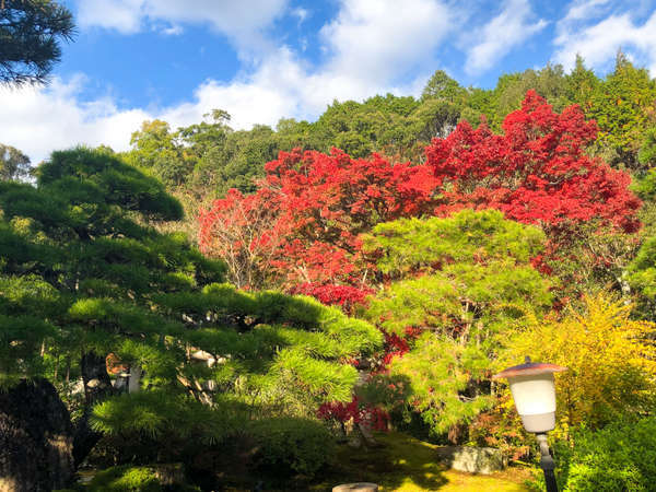 お食事処 やまざき旅館の写真その5