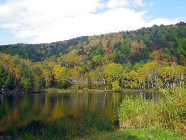 *志賀高原の紅葉（木戸池）／大小70ほどある湖沼や湿原を巡るハイキングコースが人気です！