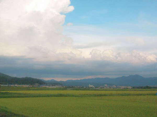 《夏の丹波》青い空と田んぼのグリーンが鮮やかです。