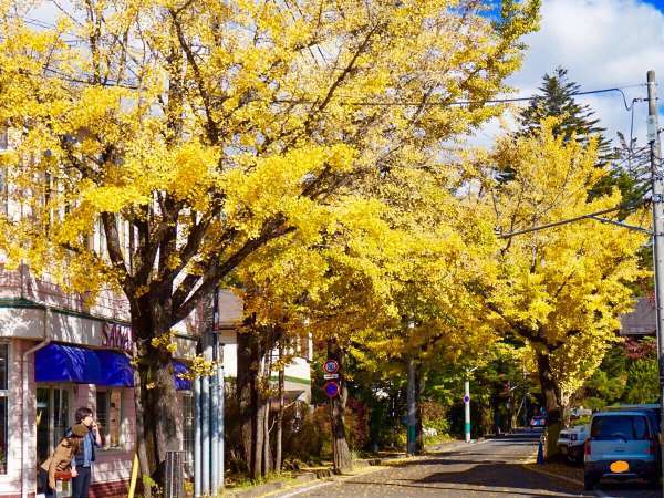 東雲交差点の紅葉 徒歩3分見頃 10月中旬～11月下旬