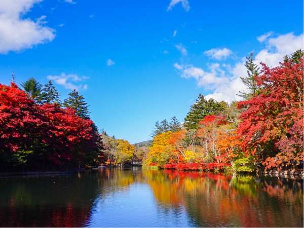 雲場池の紅葉 徒歩10分見頃 10月中旬～11月下旬