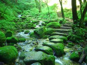 嶺雲荘の写真その3