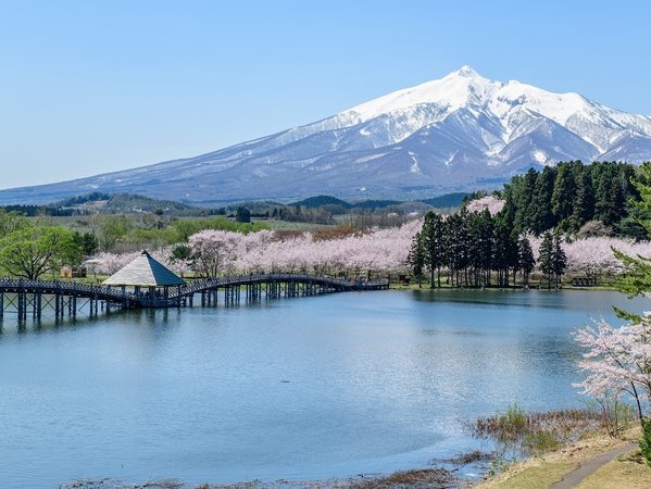 鶴の舞橋と桜