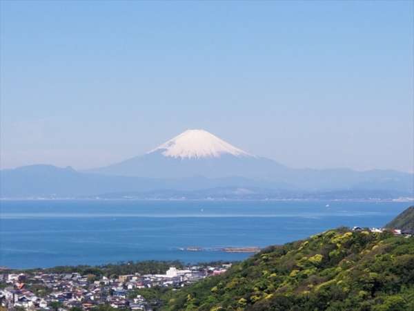 湘南リリーフの写真その3