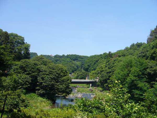 食堂から見える川の景色です。