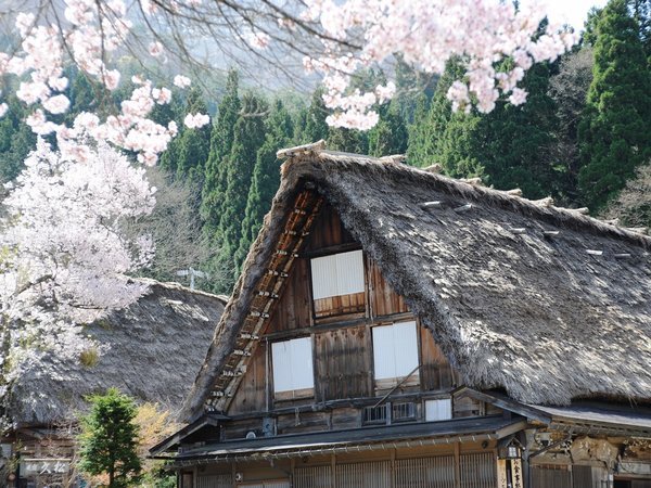 五箇山 旅館 よしのやの写真その4