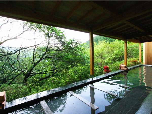 森の絶景露天風呂 熱海 森の温泉ホテルの写真その2