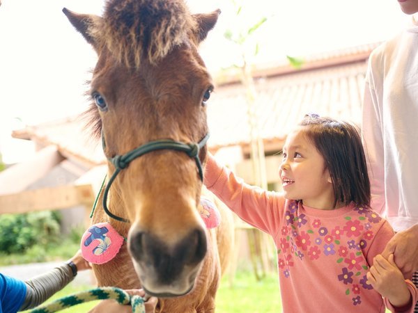 人懐っこくてかわいいヨナグニウマと馬遊び体験♪（有料）