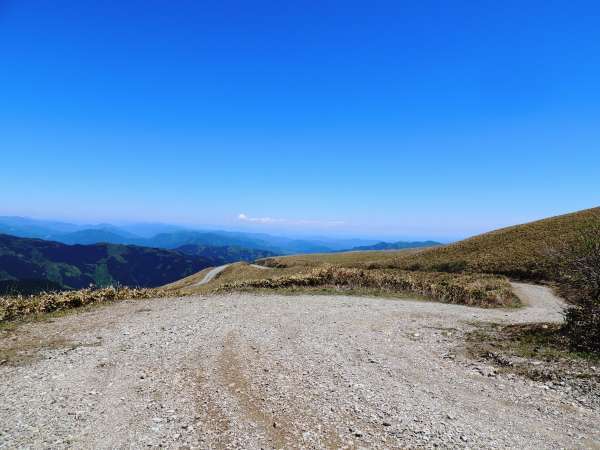 中津明神山　山頂の天空林道　ゆの森から40分