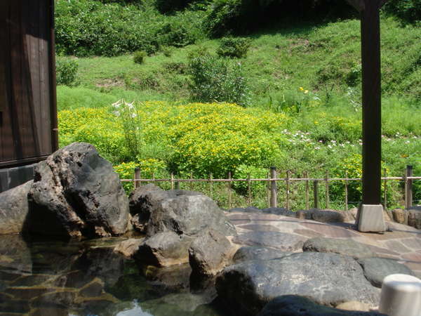 露天風呂からの眺め（女湯）