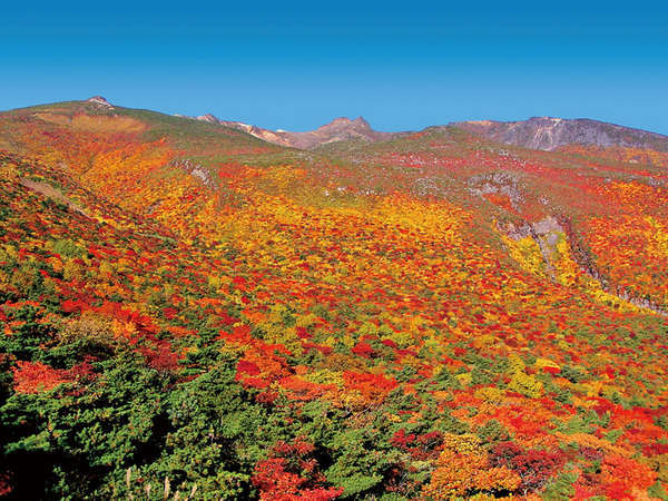 鮮やかな紅葉が楽しめる安達太良山
