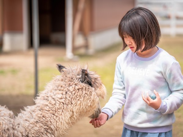 ロイヤル胎内パークホテルのプラン「【樽ヶ橋遊園】まるごと満喫ステイ【入園チケット付き！】」