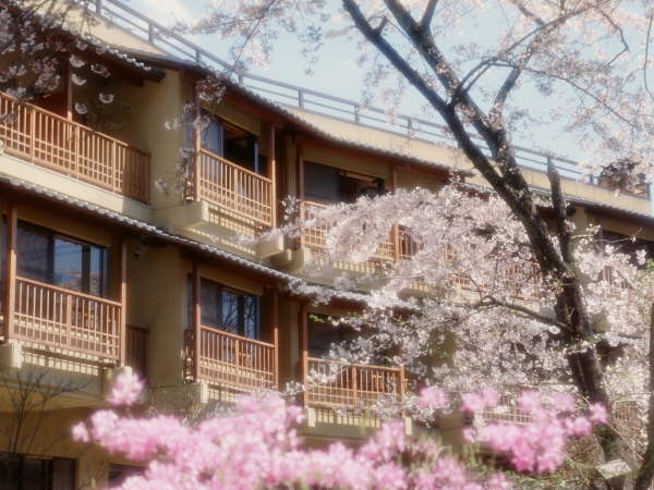 『外観』（桜が満開の春の風景）