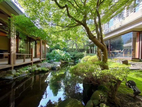 夏の中庭の風景