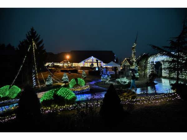 当館庭園内に彩られたイルミネーションのイメージ