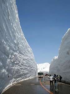 立山・雪の大谷ウォーク開催！ 2022年 全線営業期間：4月15日～６月２２日 となります♪