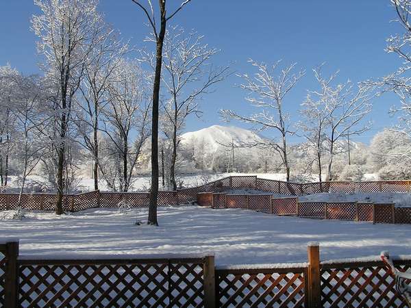 ドッグランから見える雪化粧の浅間山