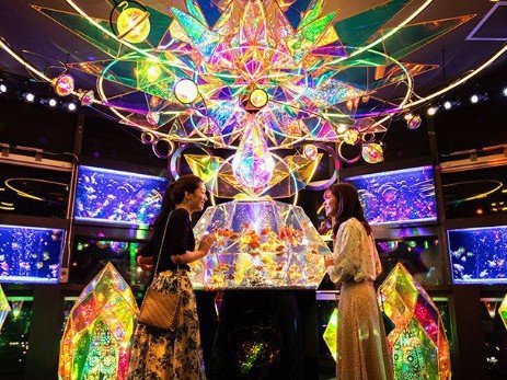 善通寺グランドホテルのプラン「【ソラキン入場券付／香川観光ならココ】老若男女楽しめる！３千匹の金魚が舞う天空のアクアリウム＜素泊＞」
