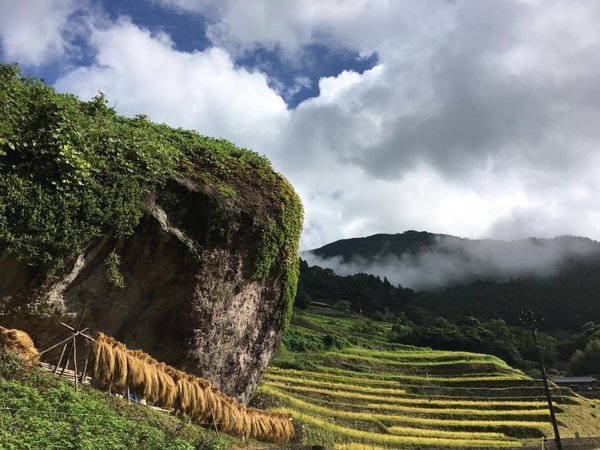 酒蔵と地魚の宿桃太郎の写真その5