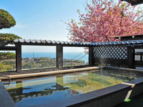 *新相模の湯からも春先には河津桜を眺望とあわせてお楽しみいただけます。