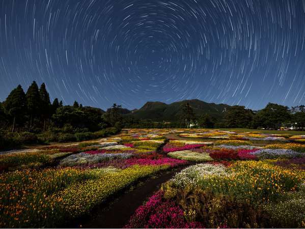 くじゅう花公園キャンピングリゾート花と星の写真その2
