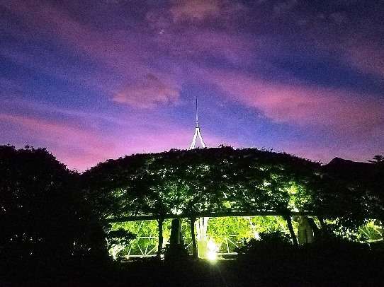 夜は幻想的な雰囲気