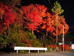 当館玄関前紅葉夜景