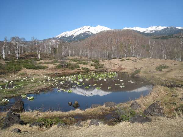 温もりの湯宿【カントリーハウス渓山荘】の写真その4