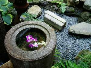 京町家の小さな自然 「坪庭と手水鉢」