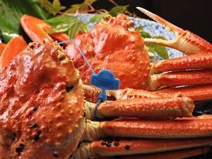 タグ付き松葉がには「津居山蟹」の青色タグ付きをお召し上がりいただけます