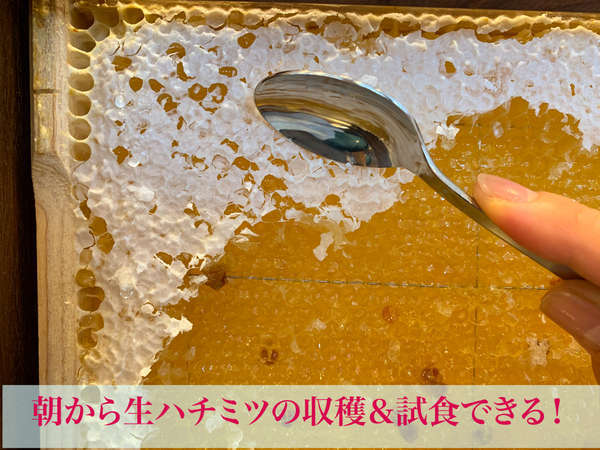 生はちみつの収穫体験が朝食バイキングでできます！きっと、貴方は誰かに話したくなりますよ。