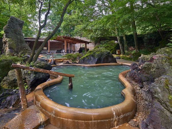 西日本最大級100%かけ流し庭園露天の宿 アーデンホテル阿蘇の写真その2