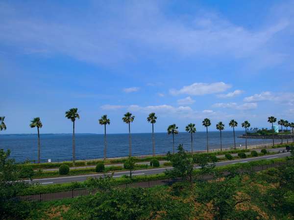 海風とラジオが流れる宿 亀川マリーナゲストハウスの写真その2