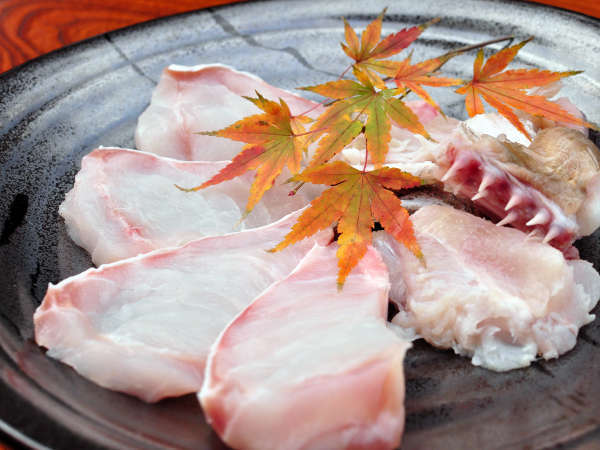 【クエ】今では幻の魚と呼ばれ、天然物はその希少性から関東関西の料亭に出荷されている高級魚です。