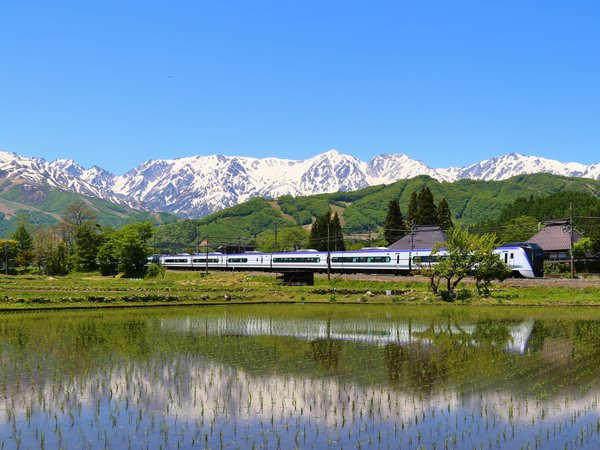 北アルプス一望！　ホテル白馬のプラン「【登山や朝一スキーにおススメ！】早朝出発OK、1泊夕食付（朝食無し）人気の和洋中バイキングプラン♪」