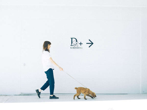 愛犬と泊まれるスタイリッシュ宿。D+KIRISHIMA　普通に犬と泊まれるだけの宿泊施設じゃつまらない。