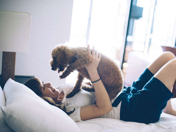 愛犬と泊まれるスタイリッシュ宿。D+KIRISHIMAのプラン「≪一人旅応援キャンペーン中！≫【ひとり旅×愛犬×育む時間】ふたりで作る幸せの空間はここにある。」