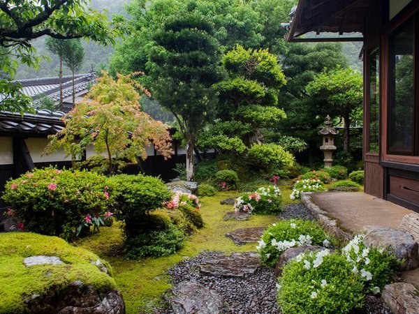 苔むす日本庭園が縁側から眺められる