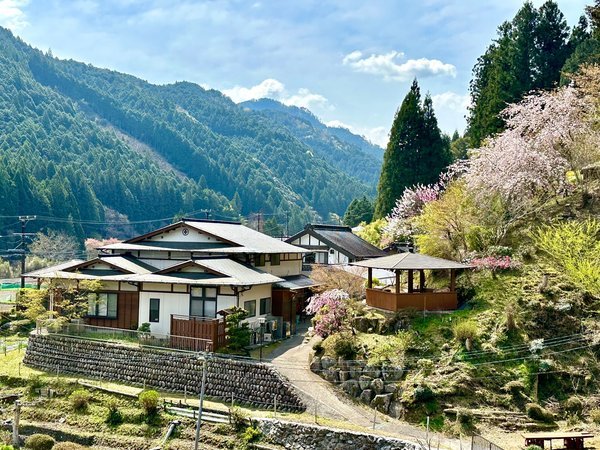 四月桜：宿川合の遠景