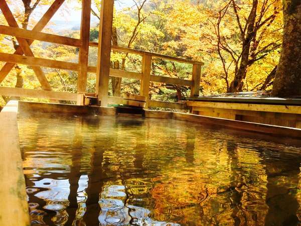 風景館