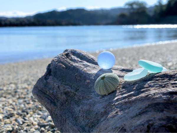 安楽島海水浴場には貝殻やシーグラスが落ちている時もあります。