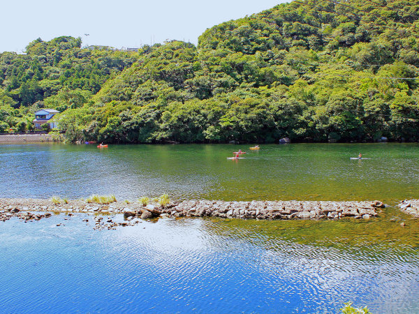 民宿水明荘の写真その4