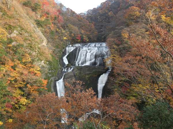 悠久の宿 滝美館の写真その2